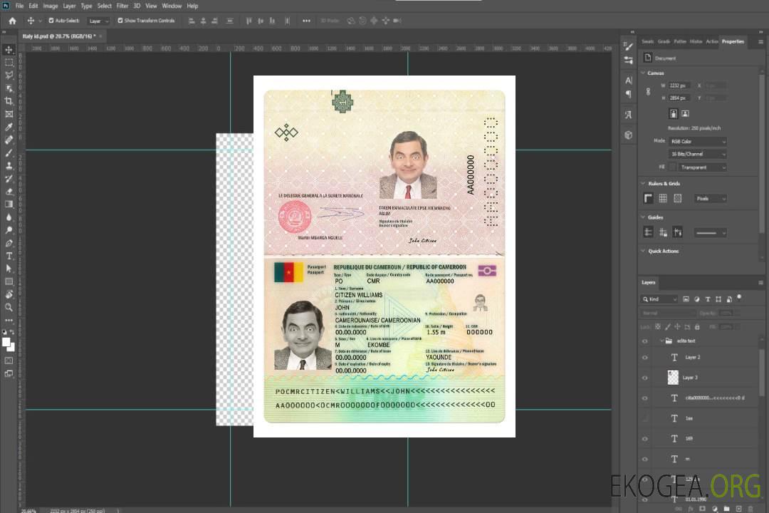 Passeport camerounais nouvelle version template Passeport camerounais nouvelle version template